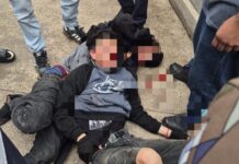 Detenidos dos hermanos por asesinato de maestra en Torreón; descartan uso de armas de fuego
