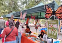 Disfrutan saltillenses del Festival de la Migración de la Mariposa Monarca en el Parque El Chapulín