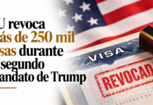 EU revoca más de 250 mil visas durante el segundo mandato de Trump