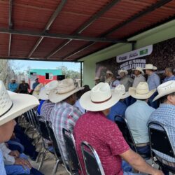 Entregan Municipio y Estado más de 80 toneladas de semilla forrajera3