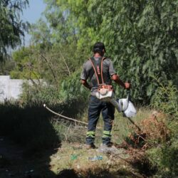 Intensifica Javier Díaz trabajos de limpieza y seguridad en colonias y Centro Histórico4