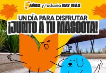 Invitan a feria de adopciones y convivencia para mascotas en Paseo Villalta Saltillo