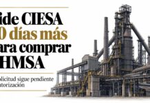 Pide CIESA 90 días más para concretar compra de AHMSA