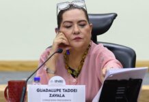 Presenta Taddei a Cámara de Diputados su renuncia al INE
