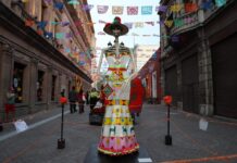 Presenta el Festival Ánimas del Desierto 2026 “Torno y retorno ocre quemado”