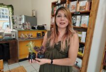 ¿Quieres intercambiar tus libros con los de otros lectores? Acude este sábado a la librería Tinta de Jade y gánate una suculenta