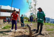 Ramos Arizpe suma 2 mil 200 árboles para una ciudad más verde