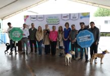 Realizan con éxito la Feria del Bienestar Animal en Parque Centro
