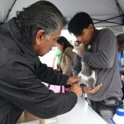 Realizan con éxito la Feria del Bienestar Animal en Parque Centro5