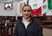 Urge regulación nacional para proteger industria vitivinícola de “huachicoleo” de vinos extranjeros