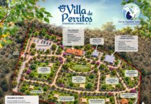 Con “Villa de Perritos” tendrá Ramos Arizpe santuario para animales sintientes