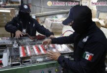 Decomisan 60 toneladas de cigarros apócrifos en el Estado de México