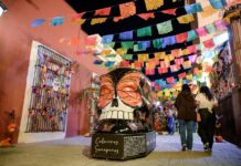 Disfrutan saltillenses primeras actividades del Festival Ánimas del Desierto 2026