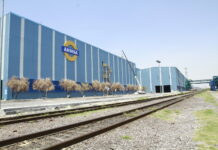 Entran Afirme y Cargill a subasta de AHMSA