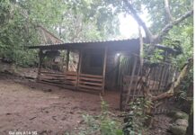 Huyen más de 50 familias de cinco comunidades de Guerrero por amenazas del crimen organizado