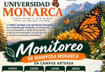 Invita UA de C a participar en monitoreo de mariposa monarca en Ciudad Universitaria de Arteaga