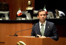Pide Gabriel Elizondo que presupuesto 2027 fortalezca recursos para seguridad en estados y municipios