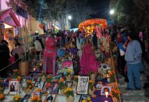 Prevén asistencia de más de 70 mil visitantes a altar de muertos monumental en escalinatas del barrio de Santa Anita