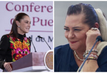 Sheinbaum avala renuncia de Taddei al INE y pide investigar posibles irregularidades