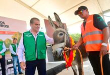 Torreón avanza en la sustitución de carros de tracción animal