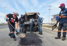 Torreón intensifica la atención de daños al pavimento generados tras las lluvias