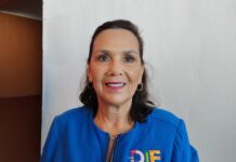 Violencia en hogares es la más difícil de detectar, por eso hay que fortalecer la cultura de la denuncia: Liliana Salinas